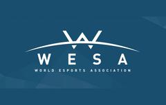 What is WESA?